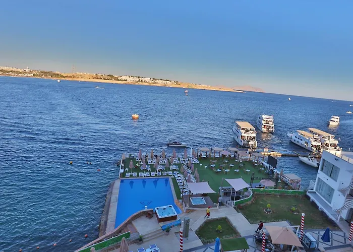 Hotel Jewel Sheikh 4*