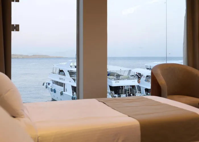 Hotel Jewel Sheikh 4*
